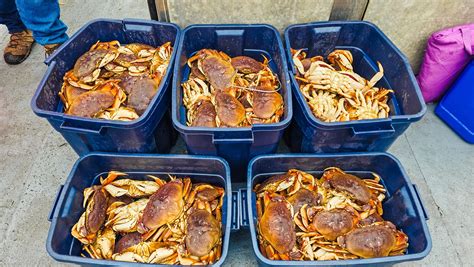 Tradewinds Charters 的图像结果