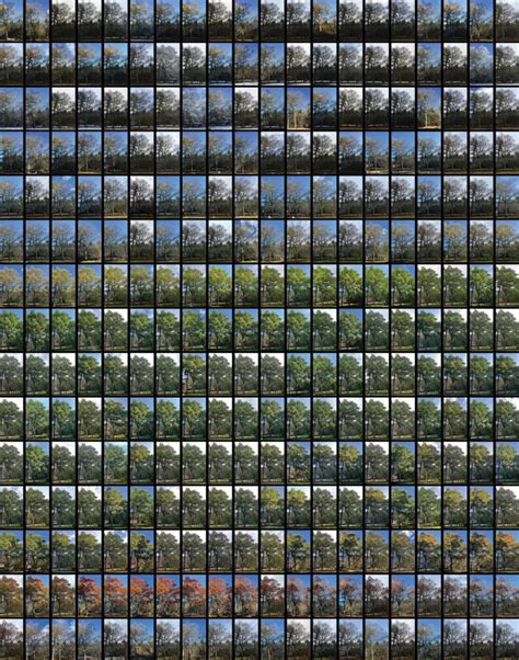 Image result for InDesign Date Format