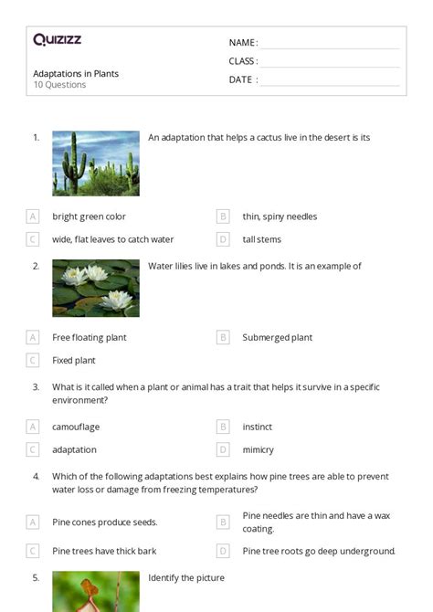 50+ Cones worksheets for 4th Class on Quizizz | Free & Printable
