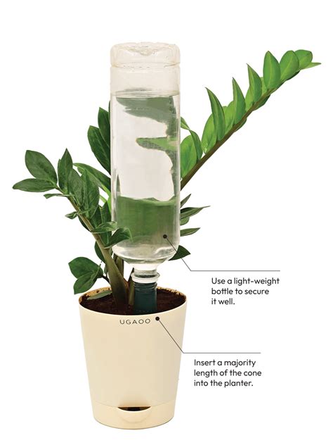 The Watermatic Stake - Classic Display – Ugaoo