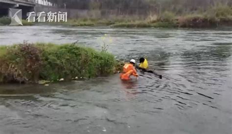 成都女子因家庭琐事跳河轻生 疑因水太冷连喊救命_大成网_腾讯网