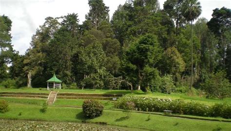 Victoria Park In Sri Lanka Awaits Your Presence For Exporation