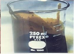 Narcotics Control Bureau