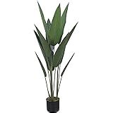 Buy Garden Art 4 Feet Traveller's Palm Imported Artificial Plant, Floor ...