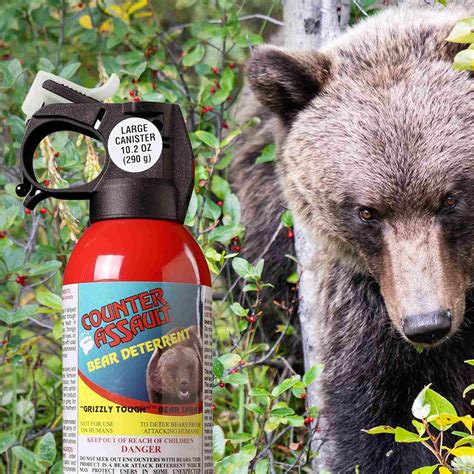 Does Pepper Spray Work On Bears? Safety Myths Debunked - MammalsLife