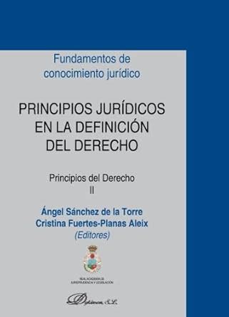 PRINCIPIOS JURIDICOS EN LA DEFINICION DEL DERECHO (PRINCIPIOS II ...