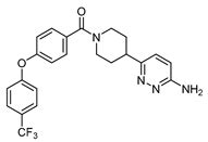 Transient Receptor Potential Canonical (TRPC) Channels: Then and Now