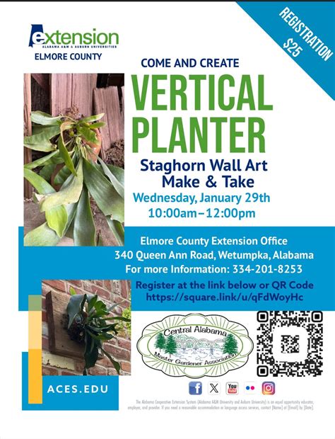 Vertical Planter: Staghorn Fern Wall Art Make and Take, 340 Queen Ann ...