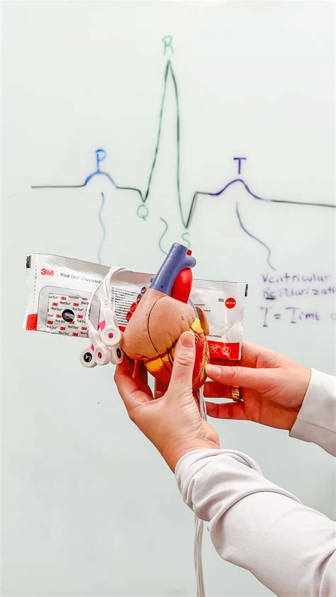 Kristine Tuttle | Let’s Change an Ostomy Appliance & Bag! 👩‍⚕️Always be sure to measure ...