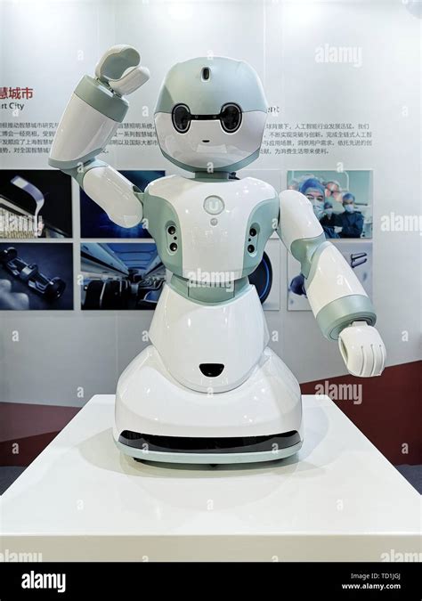 Intelligent Robot 的图像结果