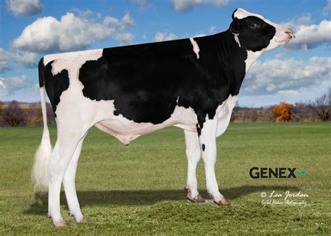 CRI Genetics - CRI Genetics