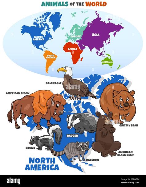 educational illustration of cartoon North American animals Stock Photo ...
