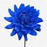 Image result for Light Blue Flower Border Clip Art