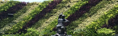 Sakla Landscaping Complete Gardening Solution