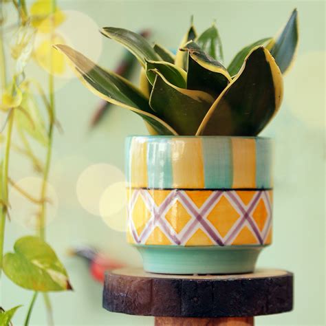 Pastel Diamond Planter – The Blooming Bagh