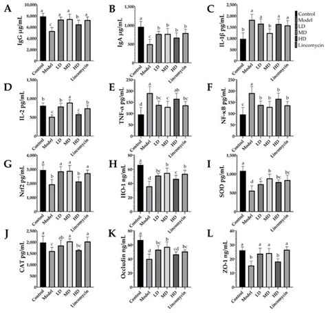Citric Acid and Magnolol Ameliorate Clostridium perfringens Challenge ...
