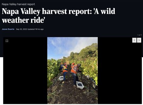 Napa Valley harvest report: 'A wild weather ride' - Harvest Napa Valley