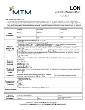 Level of Need Assessment Form - Blank Fillable Template | Fill Out ...