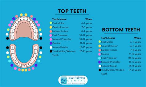 What to Do When Your Child Has a Loose Baby Tooth