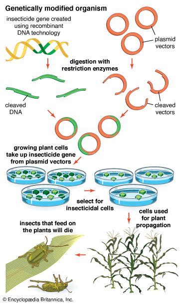 Biotech 的图像结果