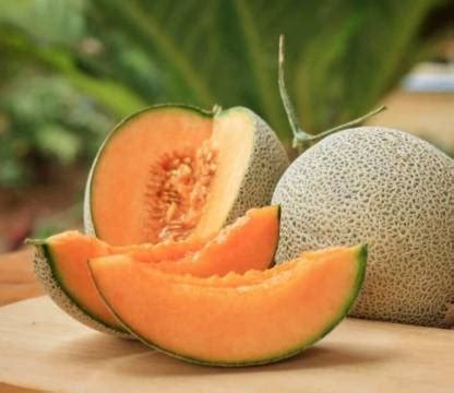 Lorvox Muskmelon F1 Hybrid Golden Sun Seed Price in India - Buy Lorvox ...