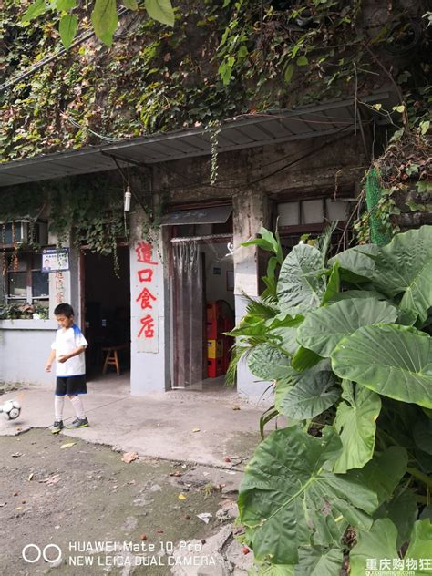 泸州十大美食,泸州猪儿粑,泸州名菜(第3页)_大山谷图库