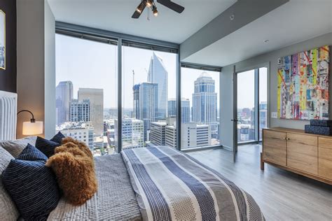 Amenities & Features | Luxury Charlotte Apartments | The Reed