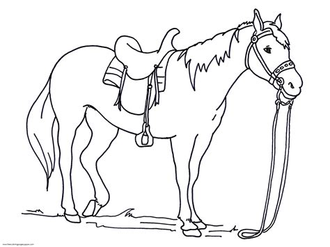 Coloring Pages Of Horses