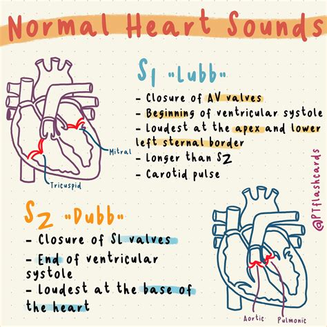 Normal Heart Beat Sound