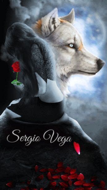 Image result for Wolves Ladybug