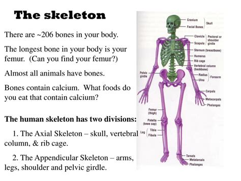 Image result for Descriptive Abstract Examples