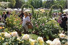 di masino fiori apgi a masino per l evento tre giorni per il giardino apgi di masino fiori apgi a masino per l evento tre giorni per il giardino apgi