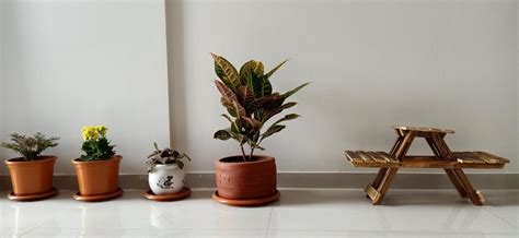 STARK Wooden Room Side Table/Flower Pot (Standard, Brown) : Amazon.in ...