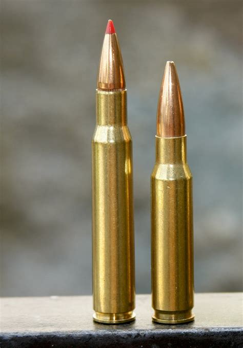 30-06 vs 308: The Swedish Perspective — Ron Spomer Outdoors