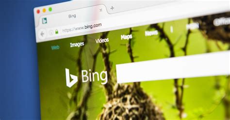 Bing Image Search 的图像结果