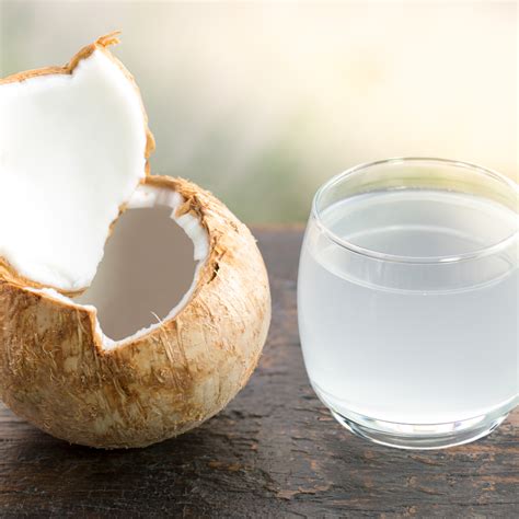 Everything You Need to Know About Coconut Rum - The Cocktail Bird