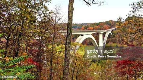Image result for Color Matche Code