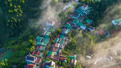 Proxy Voting 的图像结果