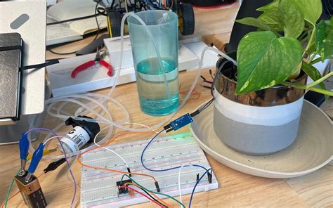 Real Robot Projects 的图像结果