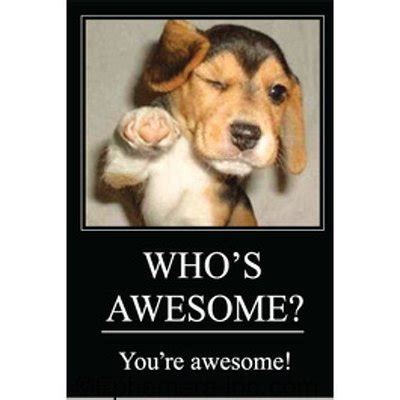 Buy WHO'S AWESOME? You're awesome! - RECTANGLE MAGNET by "Ephemera, Inc ...