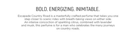 Buy Skinn By Titan Escapade Country Road Perfume | Perfume for Men ...