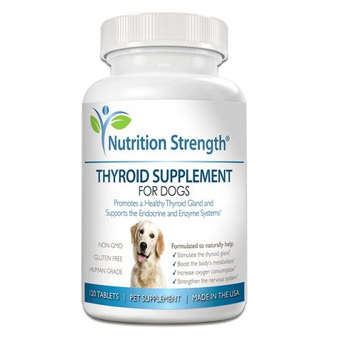 Buy Thyroid Supplement for Dogs, Support for Hypothyroidism in Dogs ...