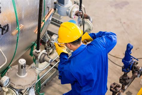 Técnicas de cuidado y mantenimiento