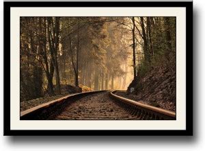 Train track in forest Fine Art Print - Places posters in India - Buy ...