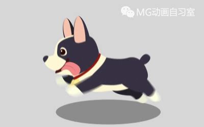 小狗卖萌动画制作|影视|Motion Graphic|MG先生_原创作品-站酷ZCOOL