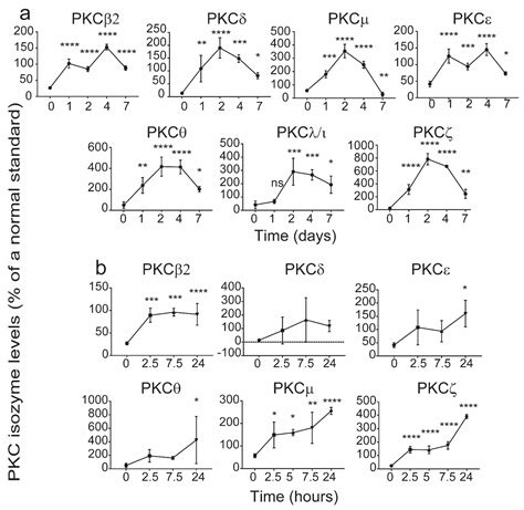 Characterization of the Transient Deficiency of PKC Isozyme Levels in ...