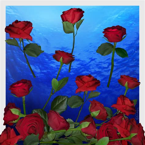 National Flower Of America | Best Flower Site