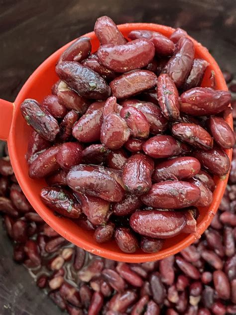 Instant Pot Kidney Beans