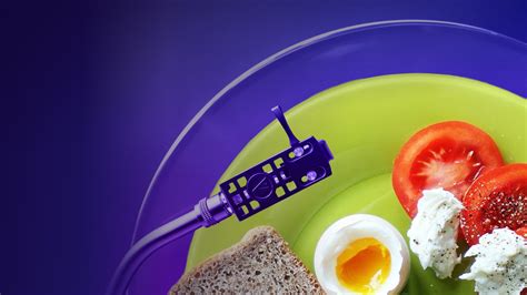 Sinfonia di sapori. Food Ensemble, 2025 | Muse - Museo delle Scienze di ...