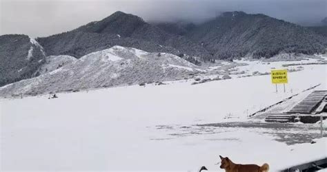 新疆多地雨雪来袭 乌鲁木齐气温降至-8℃_央广网